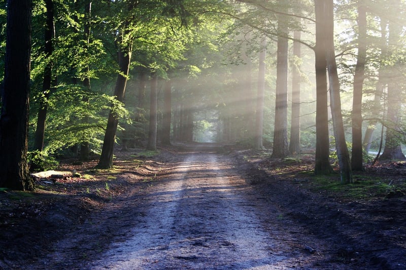 Country Trails